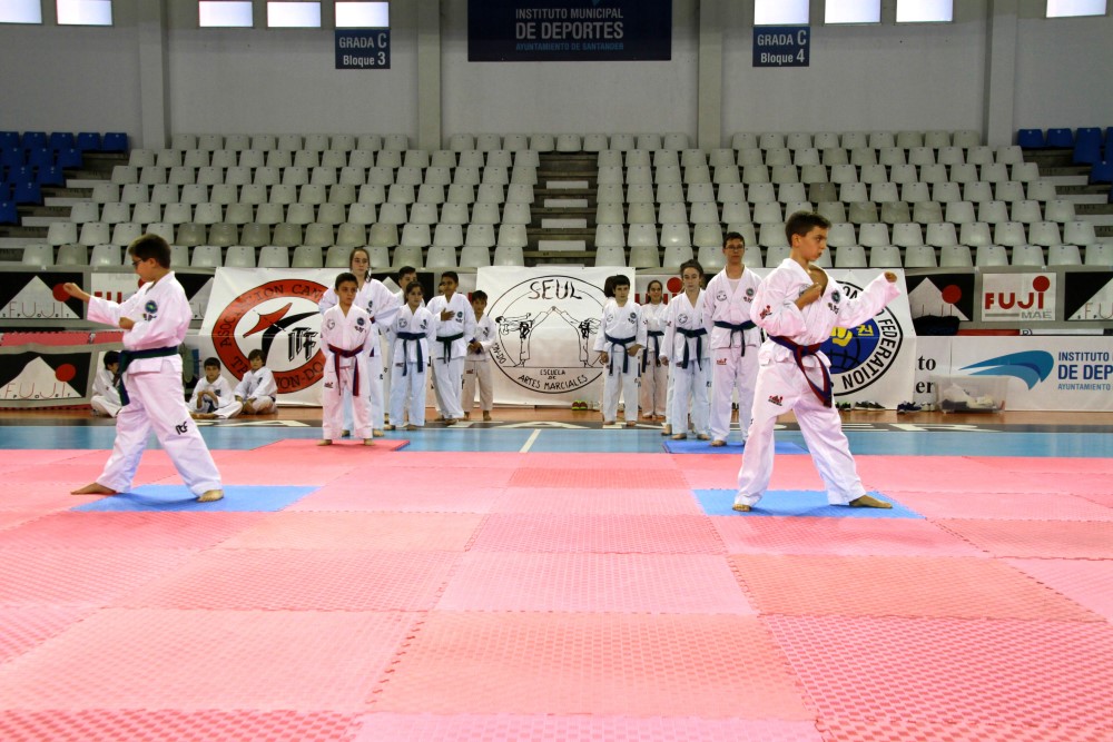 Taekwondo Dic 2016 (193).jpg